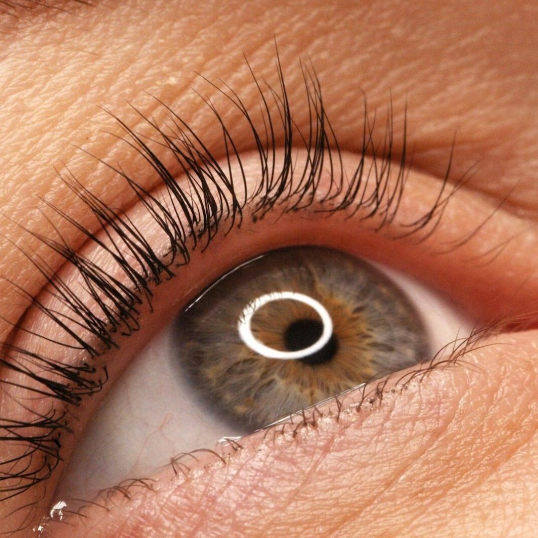 A woman's eye with long black eyelashes after lamination. Closeup opened girl's eye with eyelashes